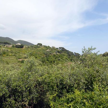Villa Caribe Affittacamere Monterosso al Mare Exteriér fotografie